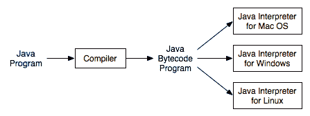 Platform Specific Interpreters