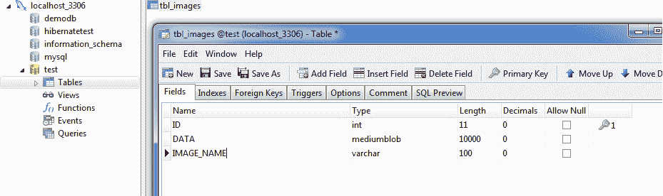 Hibernate blob example