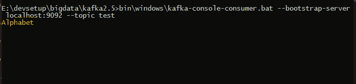 Kafka console consumer