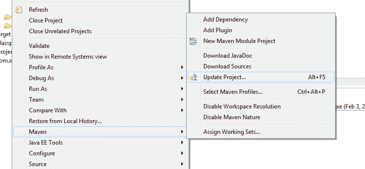 update-maven-project