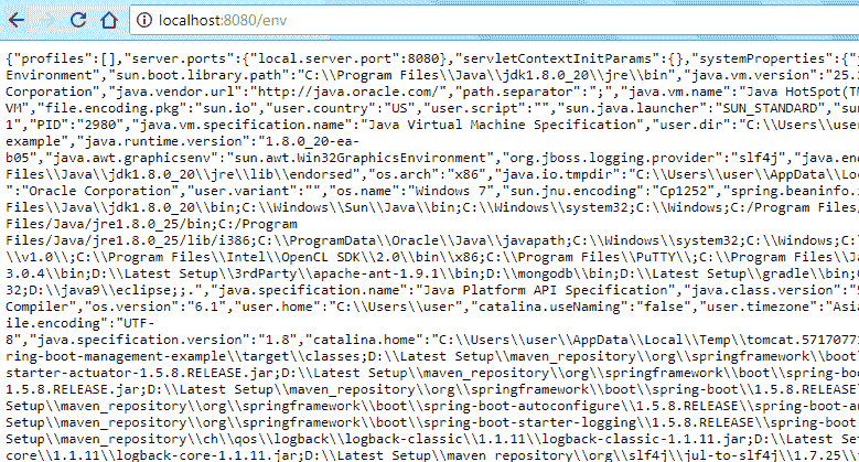 Endpoint env Output