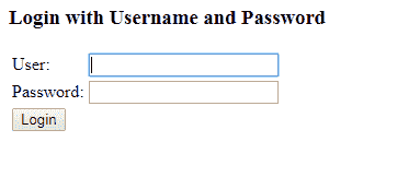 Login Form